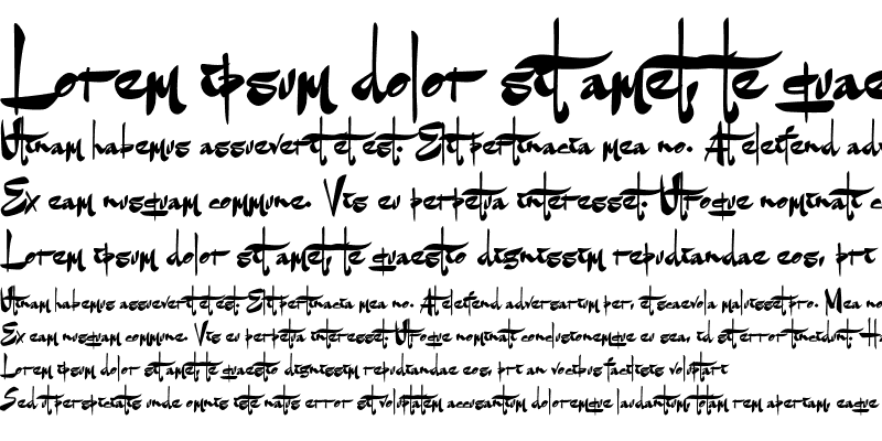 Sample of Goatskin Brush Personal Use Regular