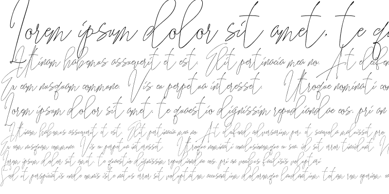 Sample of Guitarist Free