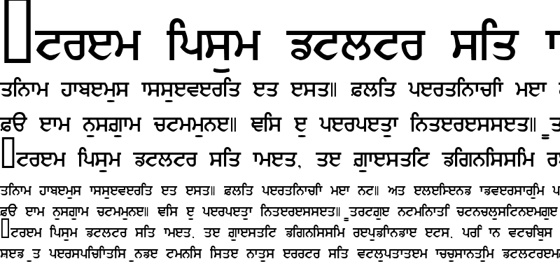 Sample of GurmukhiIIGS