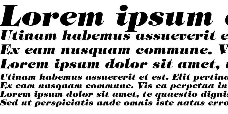 Sample of Halverson Heavy Italic
