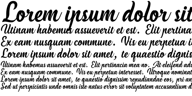 Sample of Handycheera Regular