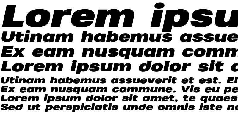 Sample of Heading Pro Wide Trial Black Italic