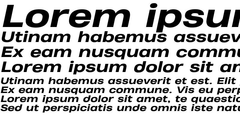 Sample of Heading Pro Wide Trial ExtraBold Italic