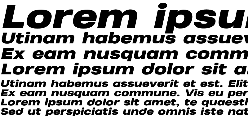 Sample of Heading Pro Wide Trial Heavy Italic