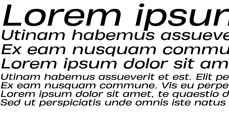 Sample of Heading Pro Wide Trial Italic