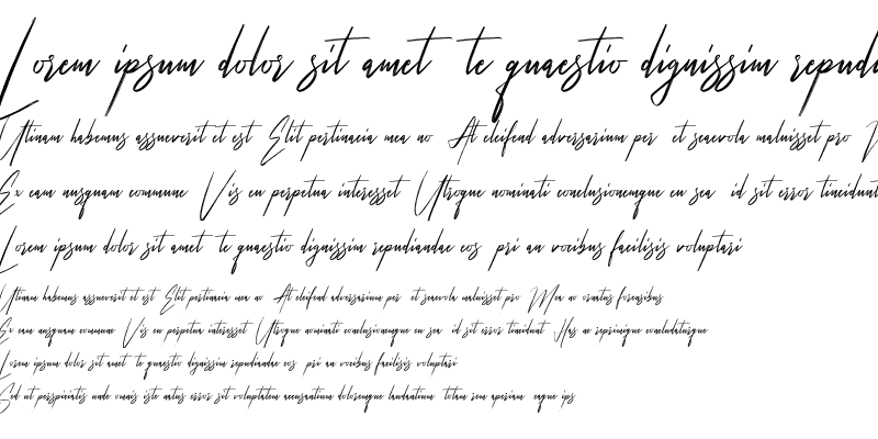 Sample of Hellicopters Brush Script