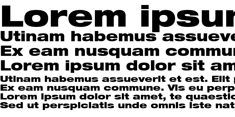 Sample of HelveticaNeue LT 93 BlackEx