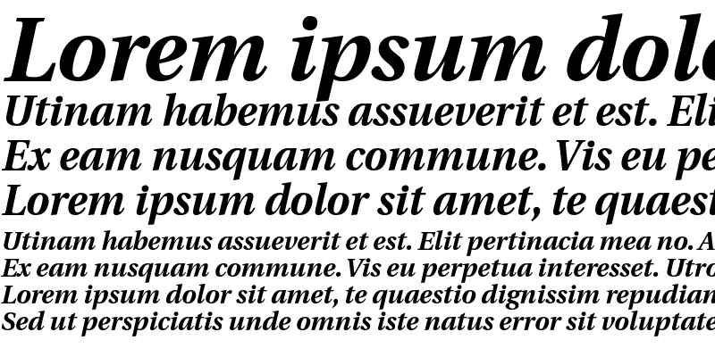 Sample of Heuristica Bold Italic