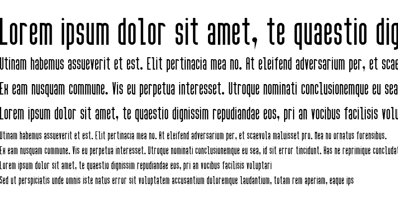 Sample of High Sans Serif 7