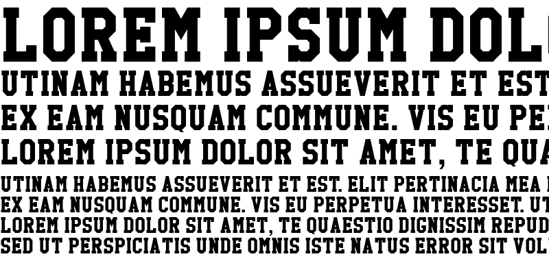 Sample of High School USA Serif Regular