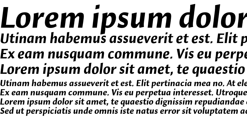 Sample of Hildegard LT Std Bold Italic