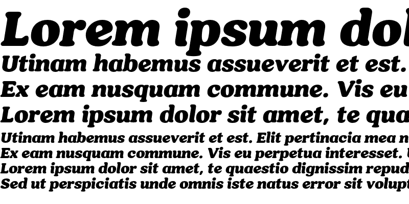 Sample of Hornbill Personal Use Black Italic