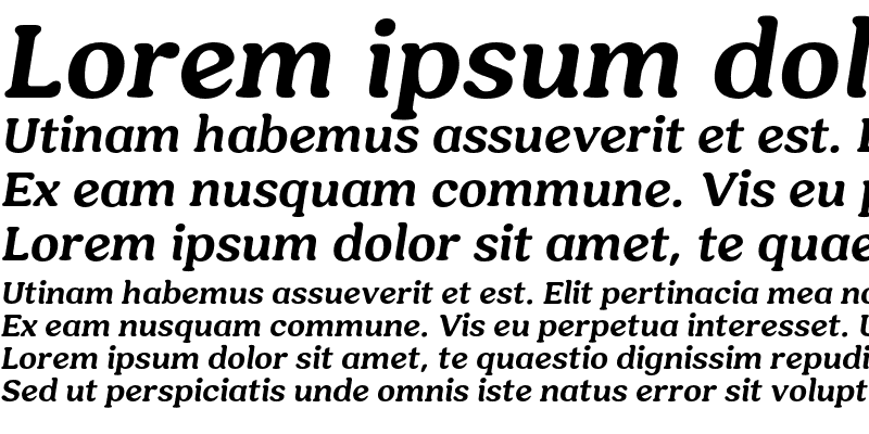 Sample of Hornbill Personal Use Bold Italic