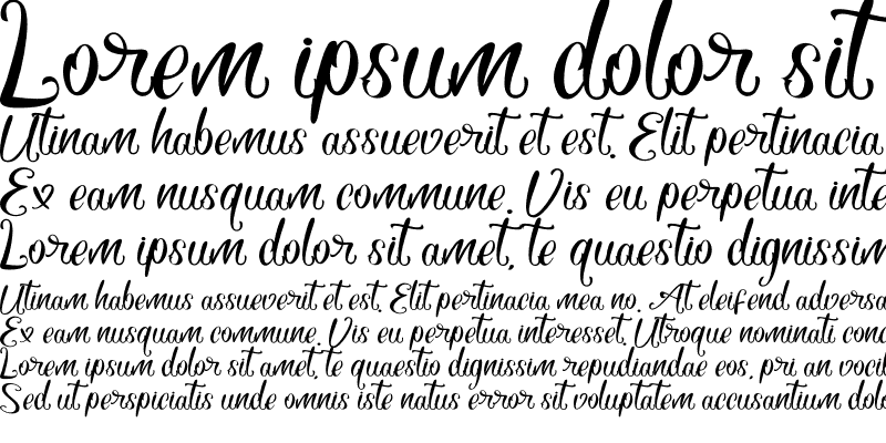 Sample of Hustyle Regular