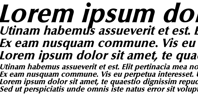 Sample of Icoluku Bold