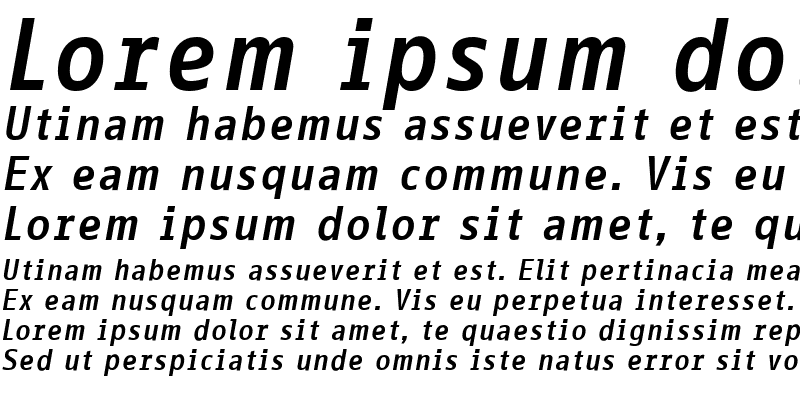 Sample of InfoOffice Bold Italic