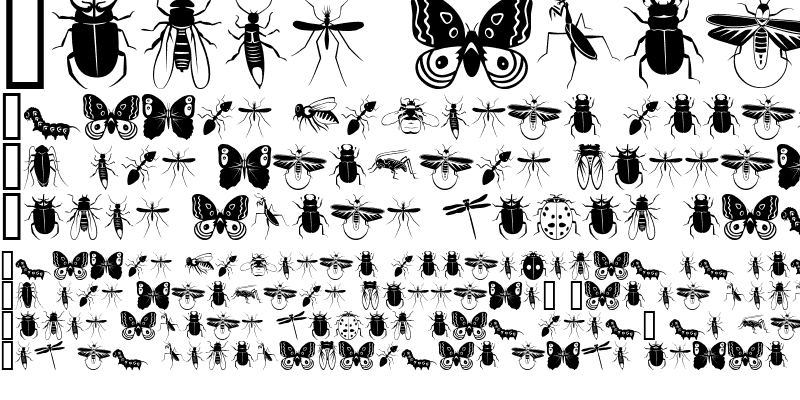 Sample of Insecta Regular