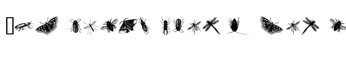 Preview of insects one Regular