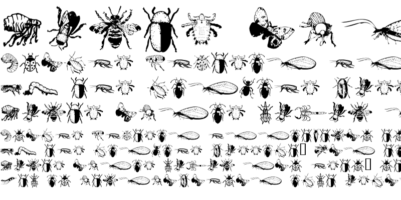 Sample of Insects Regular