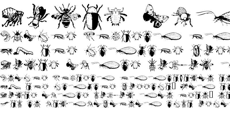 Insects, Free Full-Text