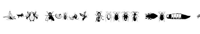 Preview of Insects1 Regular