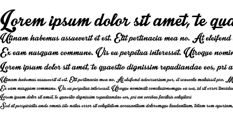 Sample of Intrique Script Personal Use