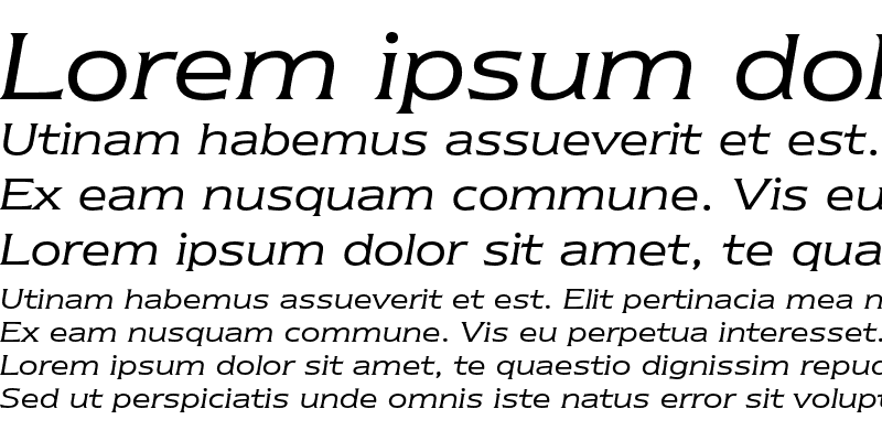 Sample of ITC Newtext Book Italic