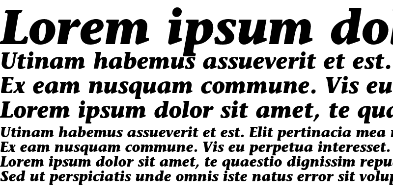 Sample of ITC Stone Informal Bold Italic