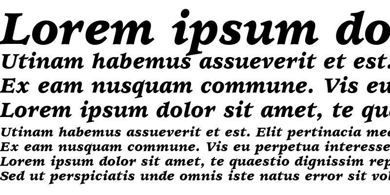 Sample of ITC Usherwood Black Italic