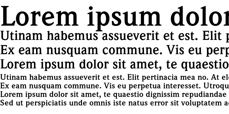 Sample of ITC Weidemann Bold