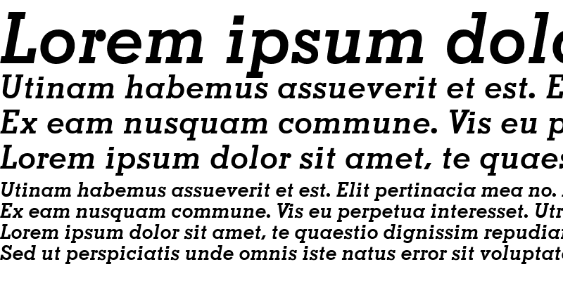 Sample of Jaak SSi Bold Italic