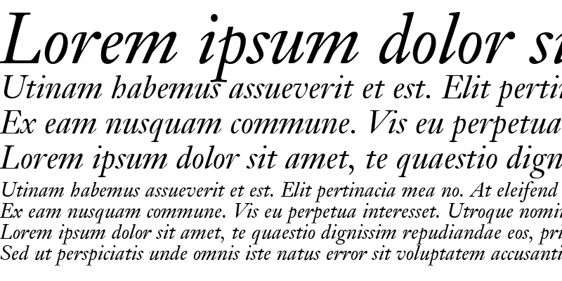 Sample of Janson SSi Italic