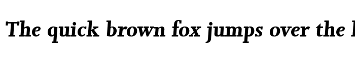 Preview of JessicaBecker Bold Italic