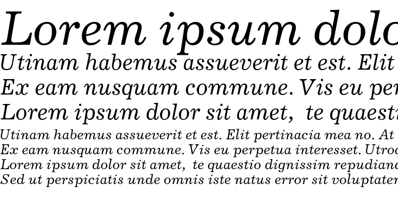 Sample of JournalC Italic