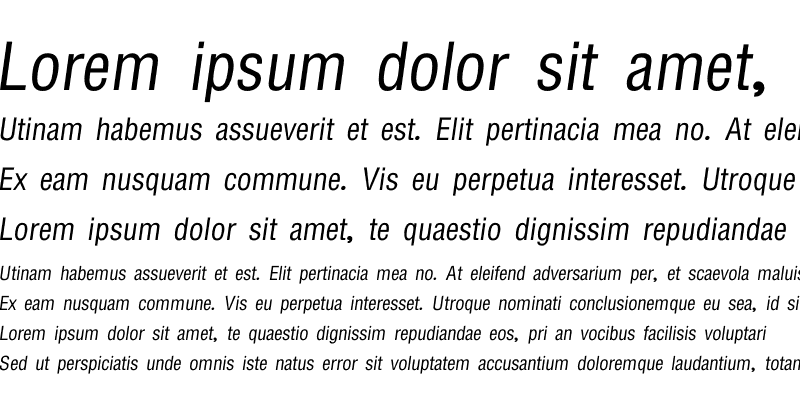 Sample of JS Synjai Italic