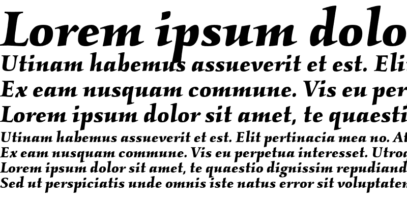 Sample of Kallos ITC Bold Italic