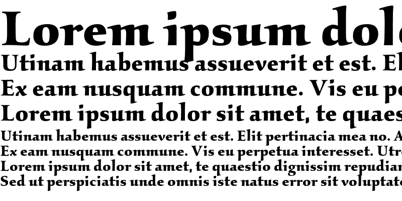 Sample of Kallos ITC Bold