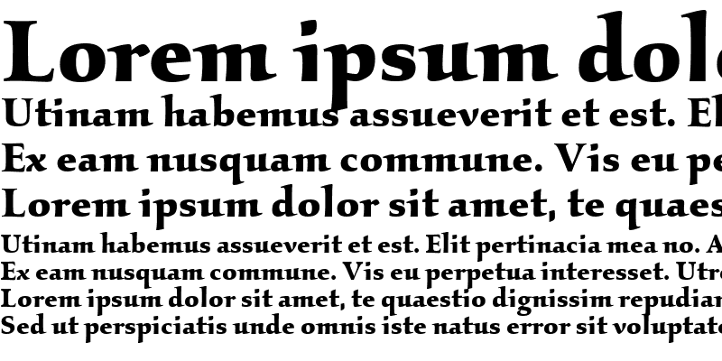 Sample of KallosITC Bold