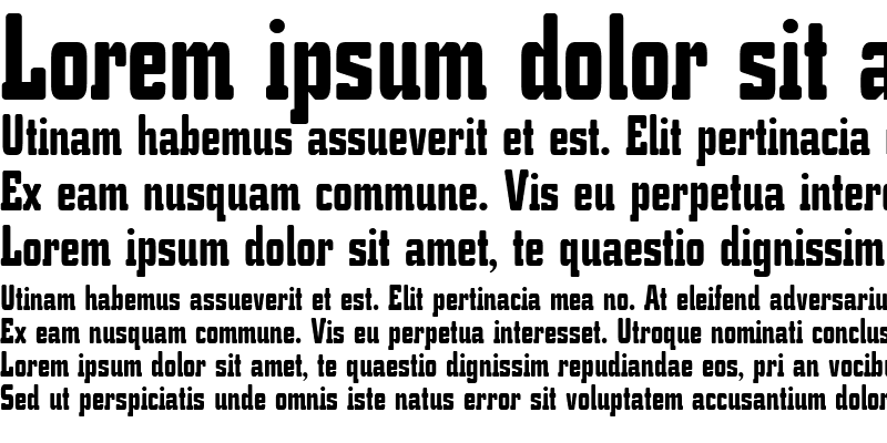 Sample of K.O. Activista* Bold