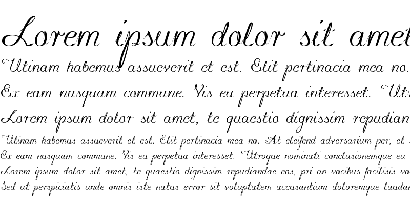 Sample of konstytucyja