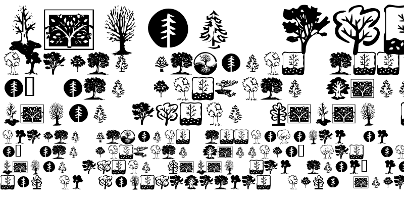 Sample of KR Trees Regular
