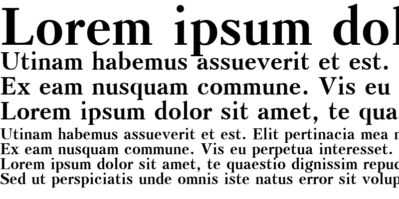 Sample of Kudrashov Bold