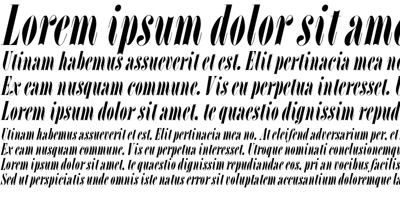 Sample of L SCCondensed Italic