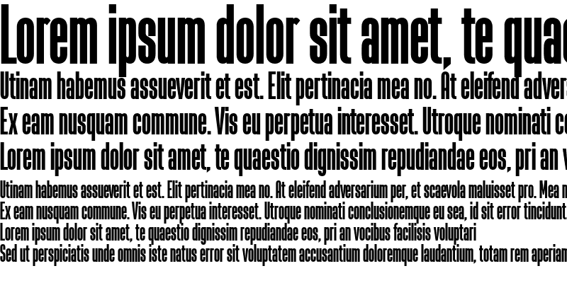 Sample of La Babaca Regular