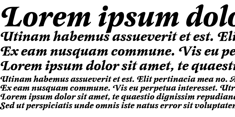 Sample of LatienneSwaTEE Bold Italic
