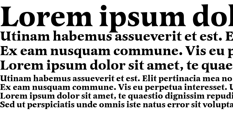 Sample of LatienneT Bold