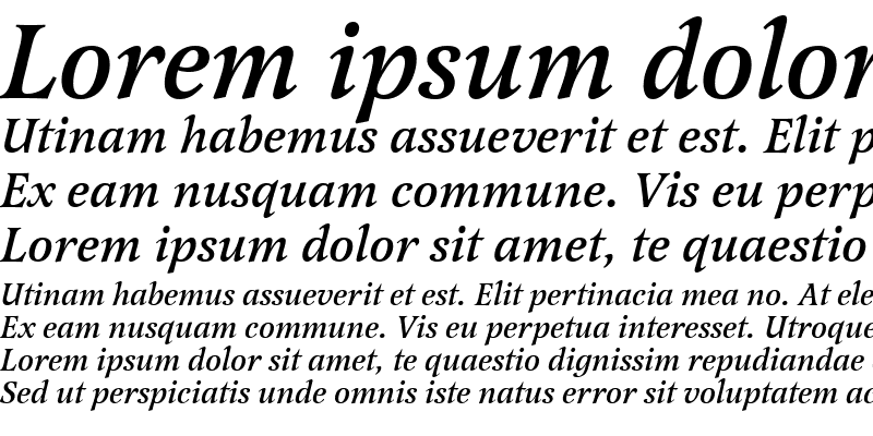 Sample of LatienneTMed Italic