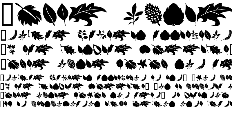 Sample of Leaves