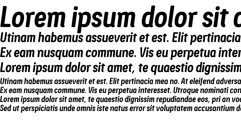 Sample of Ledare Bold Italic PERSONAL USE ONLY
