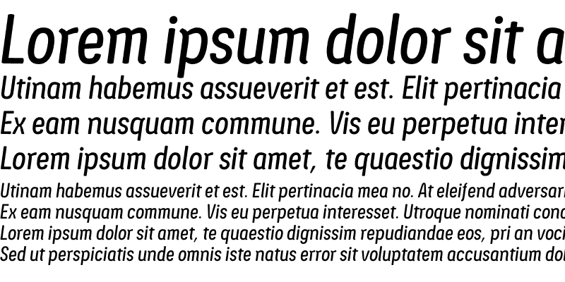 Sample of Ledare Medium Italic PERSONAL USE ONLY